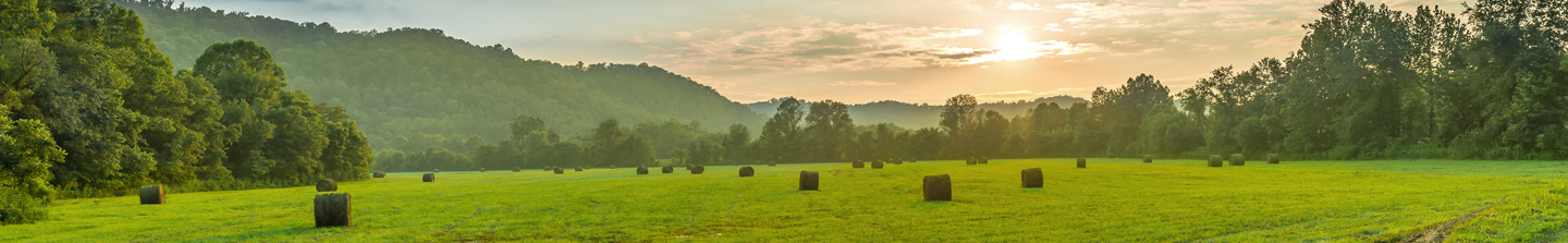 A wide-open grass field scattered with large rolls of hay, nestled in the mountains of Kentucky
